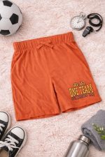 شلوارک پسرانه اچ اند ام کد Z-TFG455 - Image 4