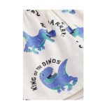 شلوارک پسرانه اچ اند ام کد Z-YRT54 - Image 2