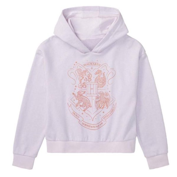 photo_2025-11-12_09-06-14 هودی دخترانه هری پاتر کد Z-YER43 - Image 1